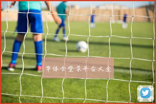 华体会登录平台大全