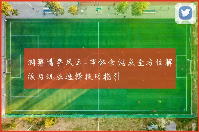 洞察博弈风云_华体会站点全方位解读与玩法选择技巧指引