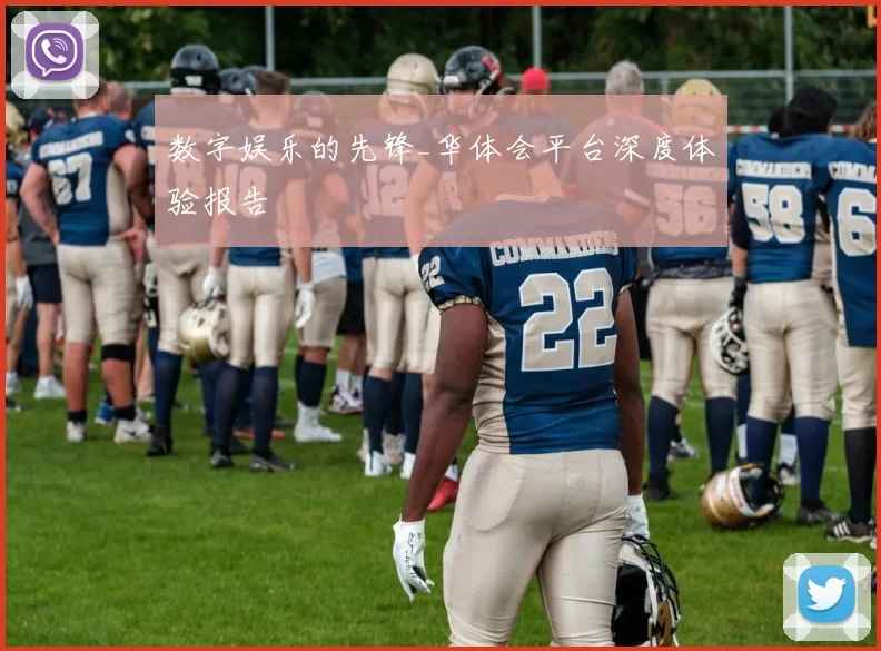 数字娱乐的先锋_华体会平台深度体验报告