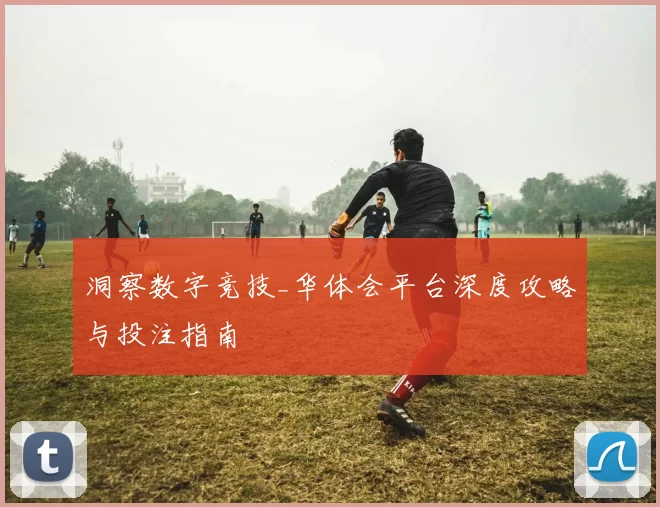 洞察数字竞技_华体会平台深度攻略与投注指南