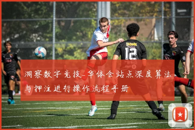 洞察数字竞技_华体会站点深度算法与押注进行操作流程手册
