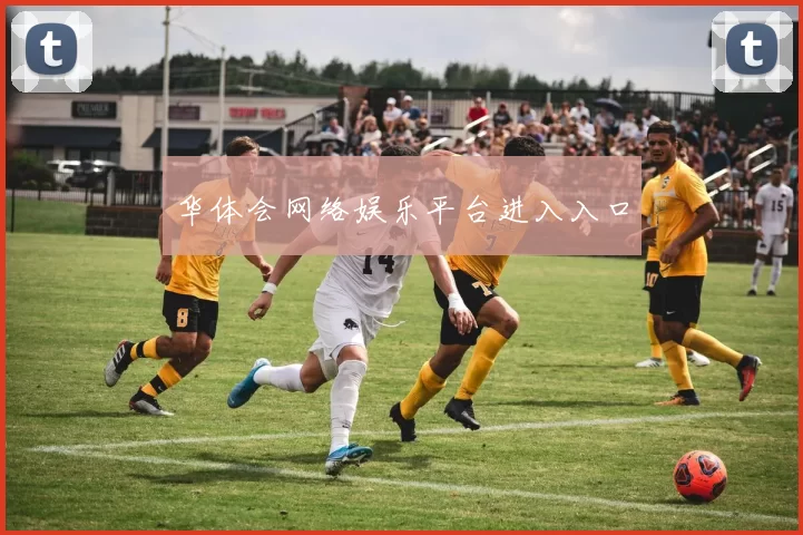 华体会网络娱乐平台进入入口