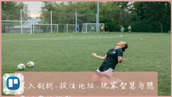 深入剖析_投注论坛_玩家智慧与隐患避雷的指引