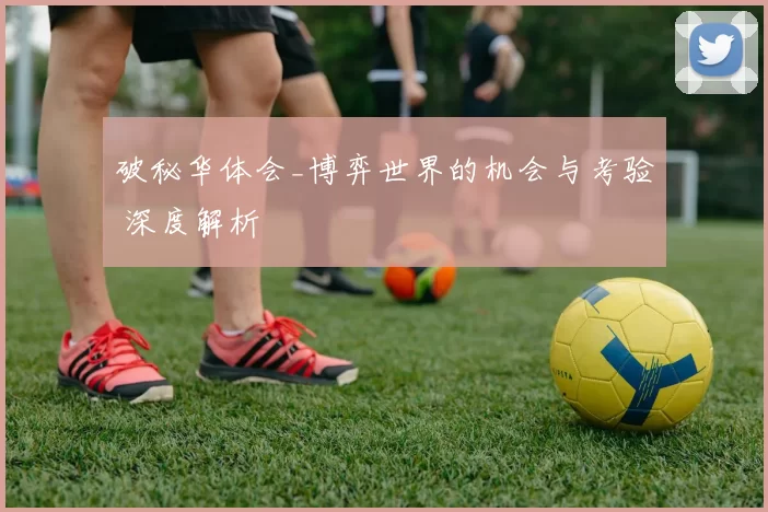 破秘华体会_博弈世界的机会与考验 深度解析