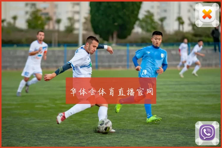 华体会体育直播官网