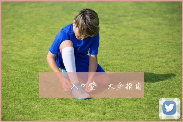 華體會入口登錄大全指南