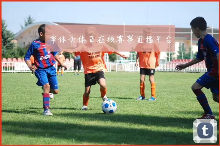 华体会体育在线赛事直播平台