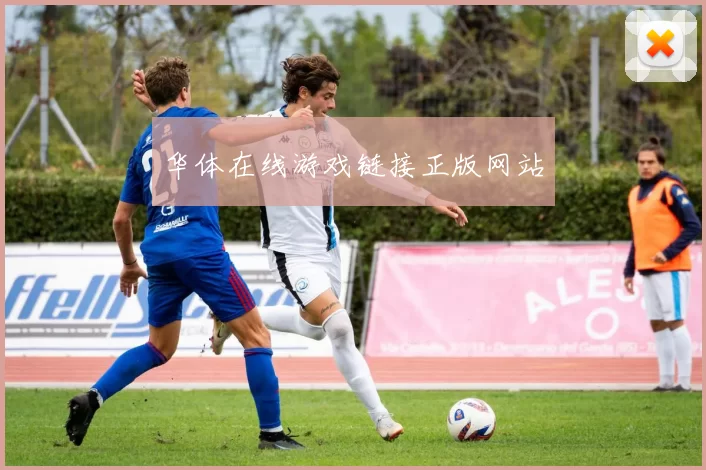 华体在线游戏链接正版网站