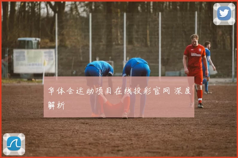 华体会运动项目在线投彩官网 深度解析