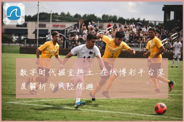 数字时代掘金热土_在线博彩平台深度解析与风险规避