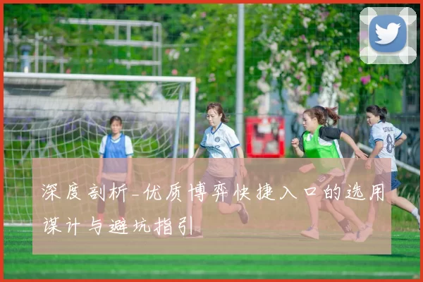 深度剖析_优质博弈快捷入口的选用谋计与避坑指引