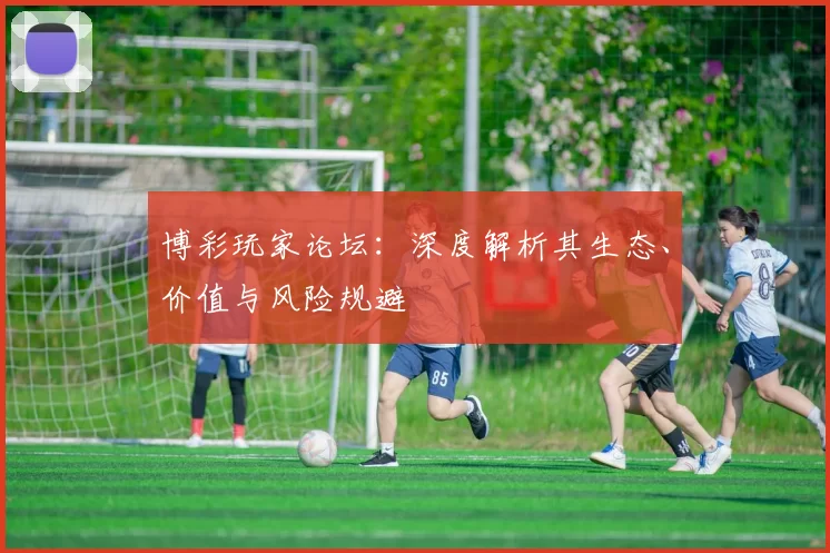 博彩玩家论坛：深度解析其生态、价值与风险规避