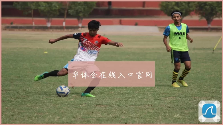 华体会在线入口官网