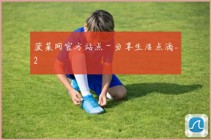 菠菜网官方站点 - 分享生活点滴_2