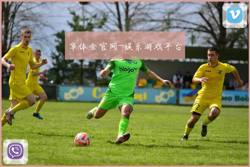 华体会官网-娱乐游戏平台