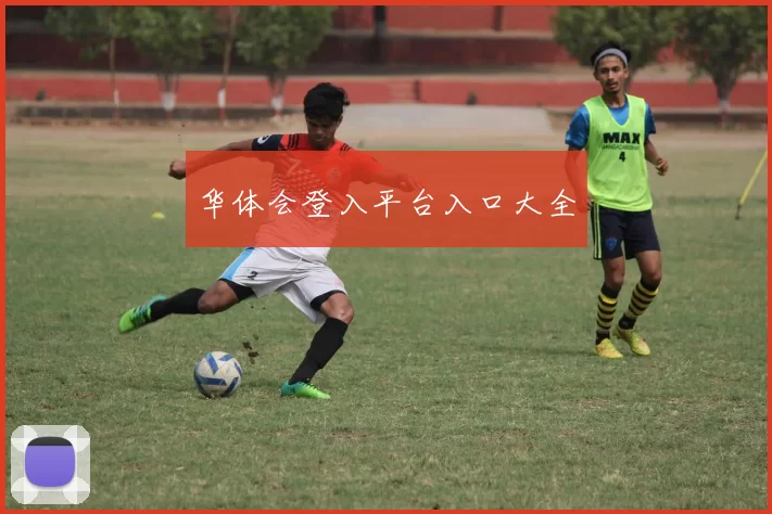 华体会登入平台入口大全