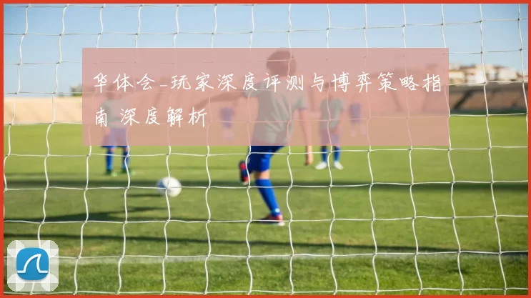 华体会_玩家深度评测与博弈策略指南 深度解析