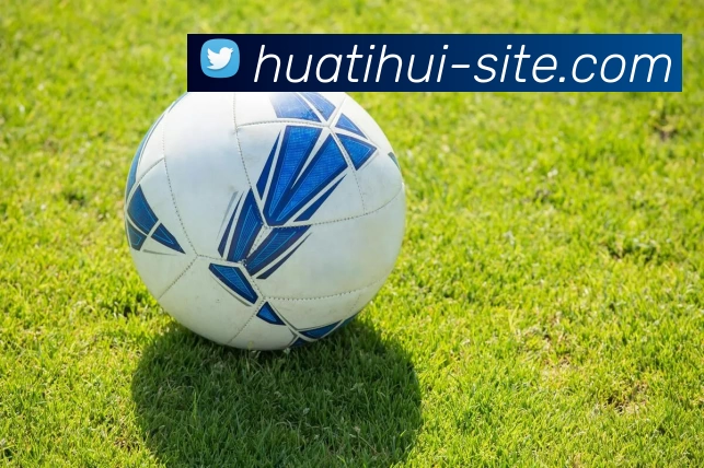 华体会体育发展历程